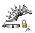 "Asylum 4 Ring Locking Chastity Cage - Small/medium MS-AD147SM"